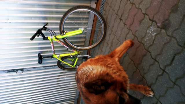 Alpinestars AL-Mega DX '90 #300