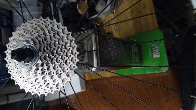 Mongoose NX 8.3 '99 #107