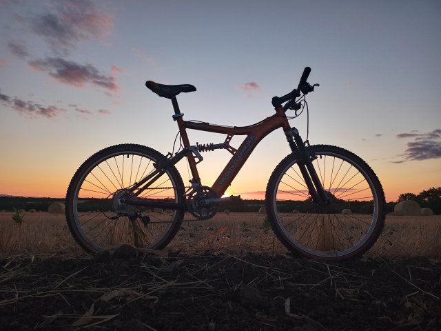 Mongoose NX 8.3 '99 #139
