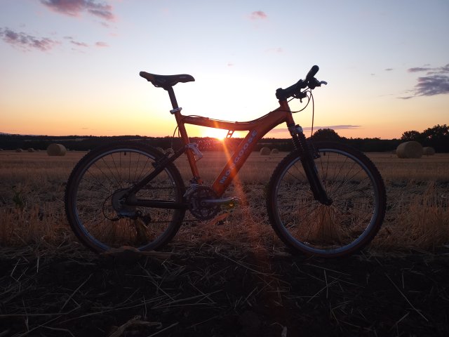 Mongoose NX 8.3 '99 #143