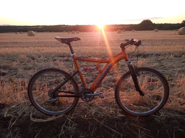 Mongoose NX 8.3 '99 #144
