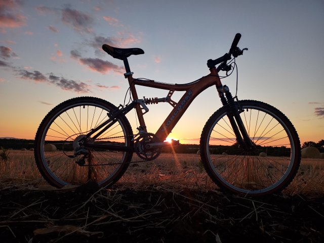 Mongoose NX 8.3 '99 #145