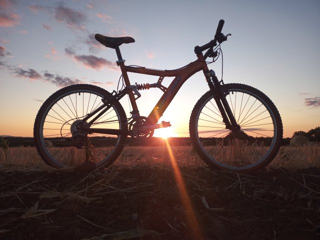 Mongoose NX 8.3 '99 #146