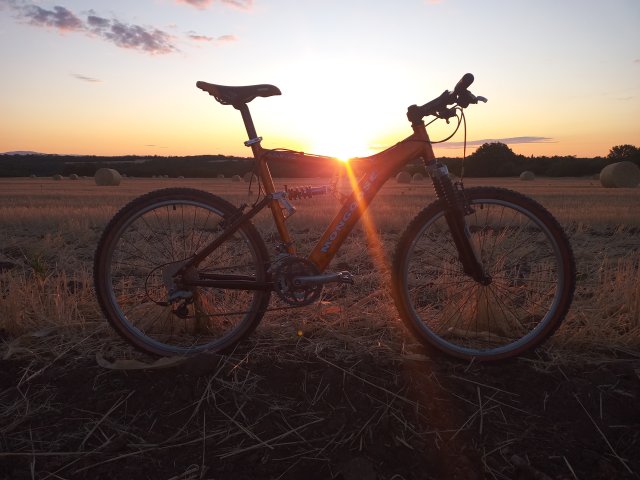 Mongoose NX 8.3 '99 #147