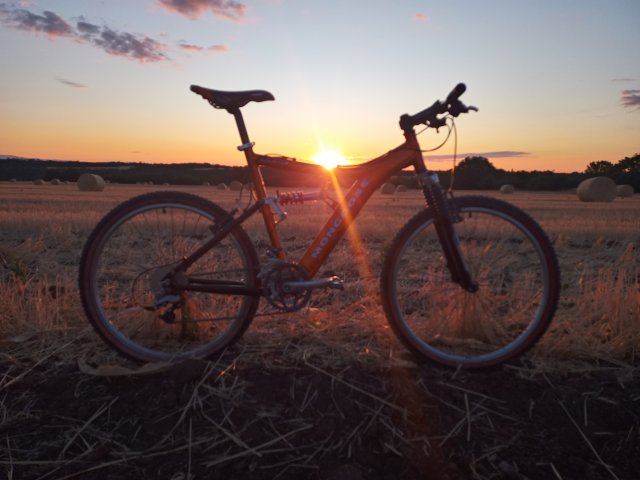 Mongoose NX 8.3 '99 #148