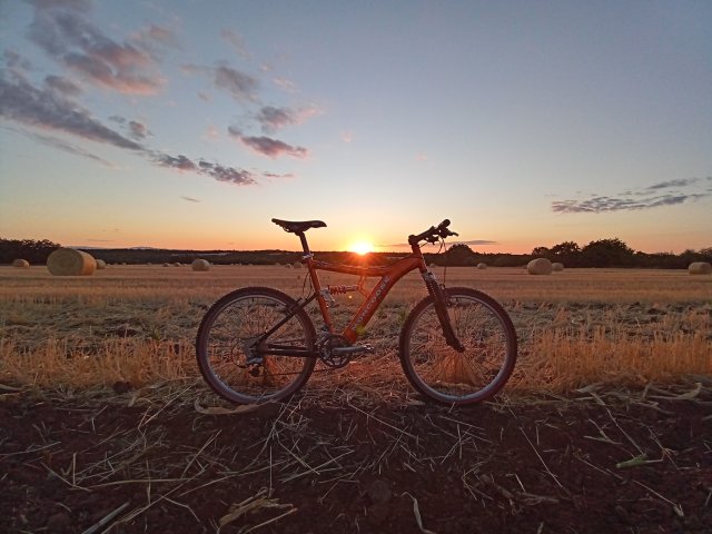 Mongoose NX 8.3 '99 #149