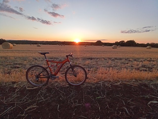 Mongoose NX 8.3 '99 #150