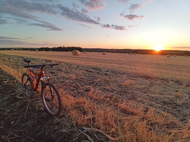 Mongoose NX 8.3 '99 #151