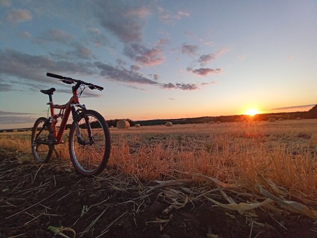 Mongoose NX 8.3 '99 #152