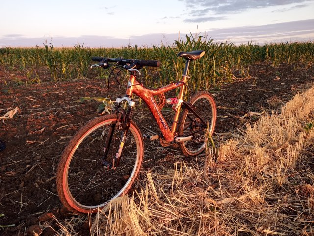 Mongoose NX 8.3 '99 #153