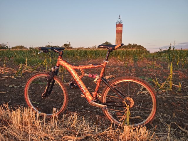 Mongoose NX 8.3 '99 #154