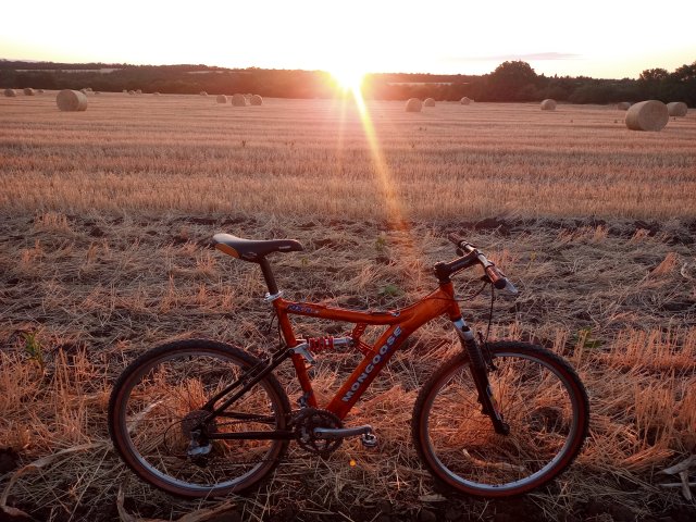 Mongoose NX 8.3 '99 #155