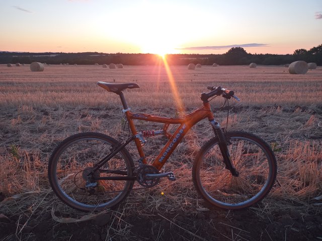 Mongoose NX 8.3 '99 #156