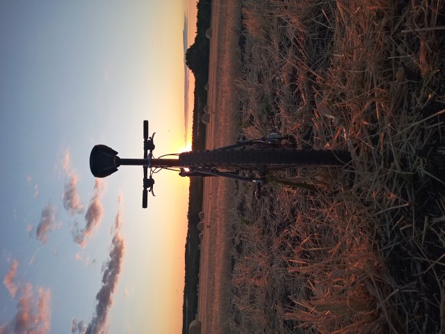 Mongoose NX 8.3 '99 #157