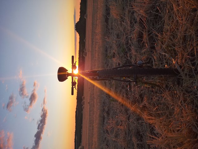 Mongoose NX 8.3 '99 #158