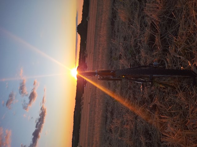 Mongoose NX 8.3 '99 #159