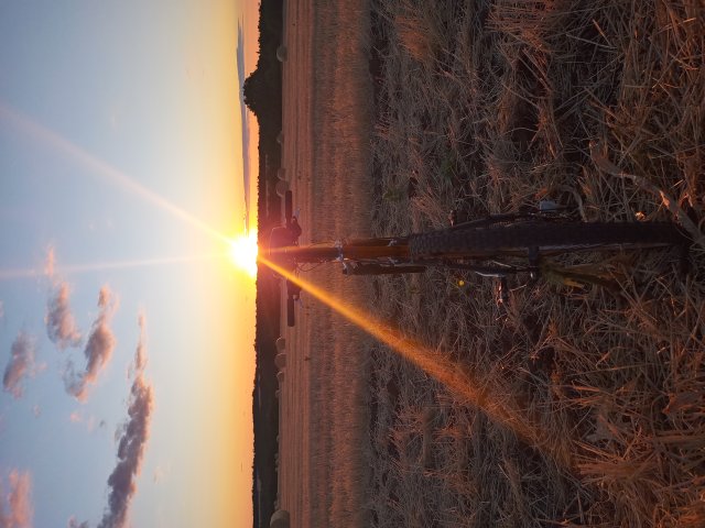 Mongoose NX 8.3 '99 #160