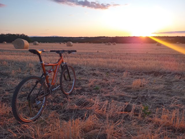 Mongoose NX 8.3 '99 #161