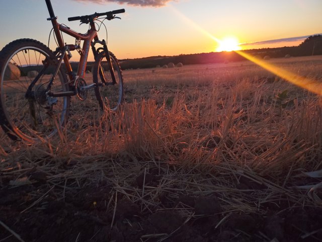 Mongoose NX 8.3 '99 #162