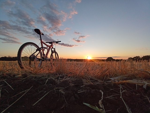 Mongoose NX 8.3 '99 #163