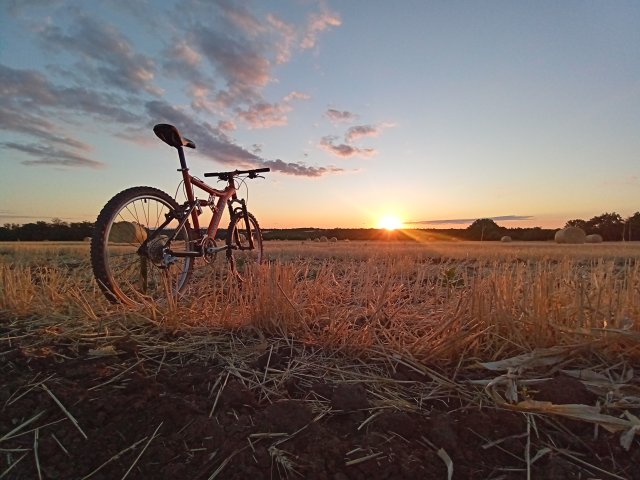 Mongoose NX 8.3 '99 #164