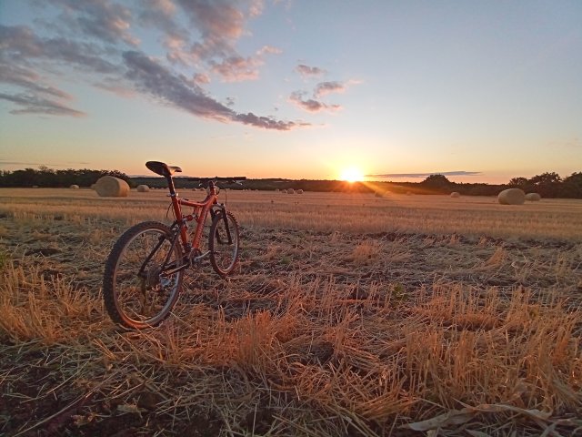 Mongoose NX 8.3 '99 #165