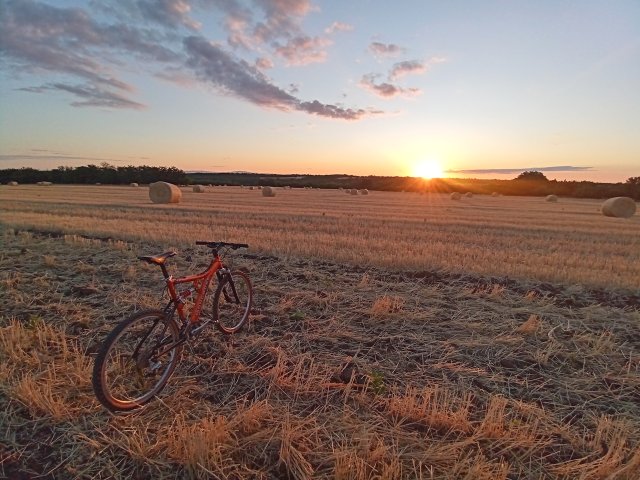 Mongoose NX 8.3 '99 #166