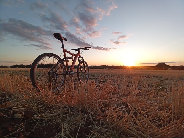 Mongoose NX 8.3 '99 #167