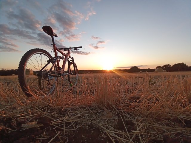 Mongoose NX 8.3 '99 #168