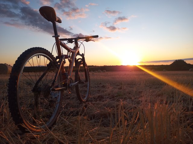 Mongoose NX 8.3 '99 #169