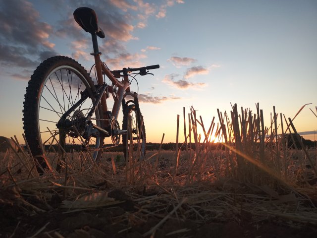 Mongoose NX 8.3 '99 #170