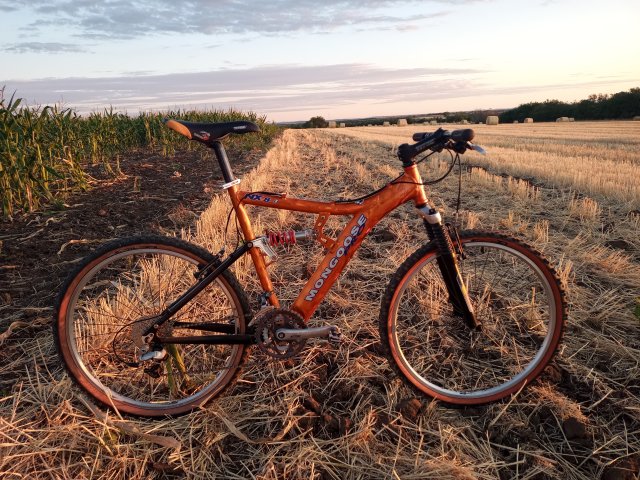 Mongoose NX 8.3 '99 #171