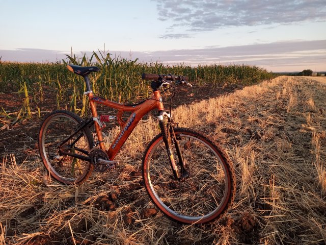 Mongoose NX 8.3 '99 #172