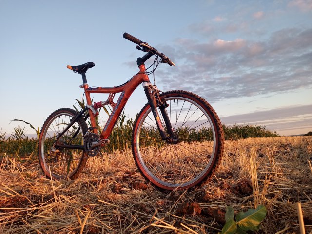 Mongoose NX 8.3 '99 #173