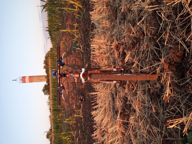 Mongoose NX 8.3 '99 #174