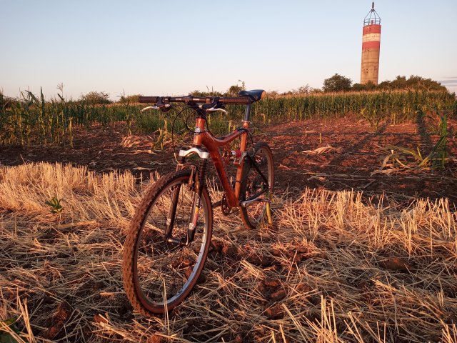 Mongoose NX 8.3 '99 #175