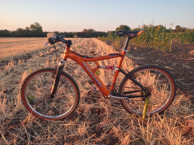 Mongoose NX 8.3 '99 #176