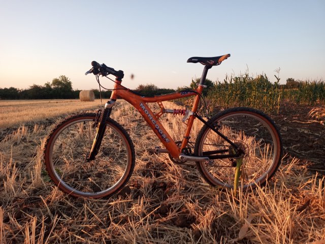 Mongoose NX 8.3 '99 #177