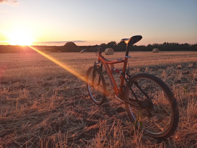 Mongoose NX 8.3 '99 #178