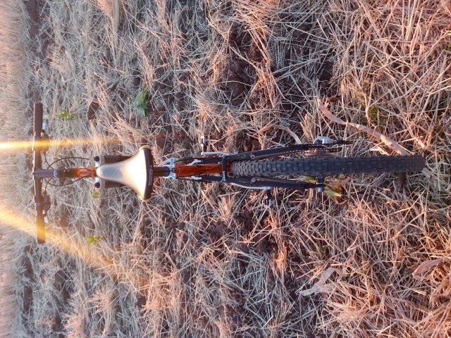 Mongoose NX 8.3 '99 #179