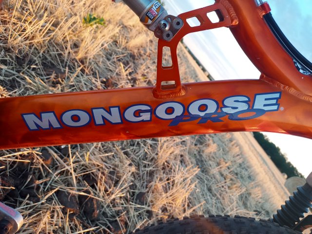 Mongoose NX 8.3 '99 #180