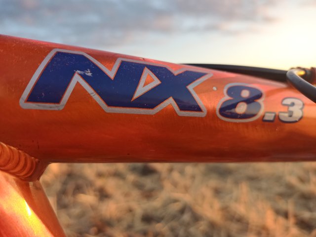 Mongoose NX 8.3 '99 #181