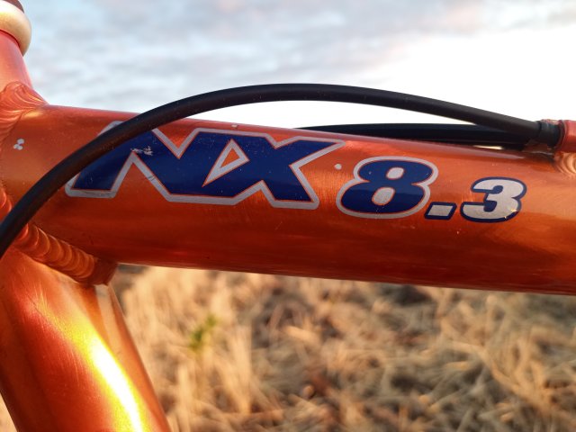 Mongoose NX 8.3 '99 #182