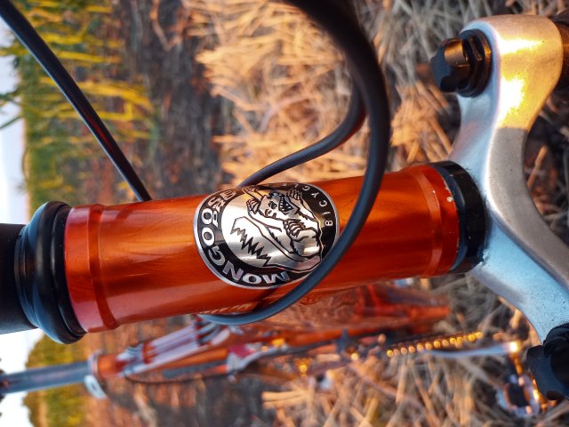 Mongoose NX 8.3 '99 #184