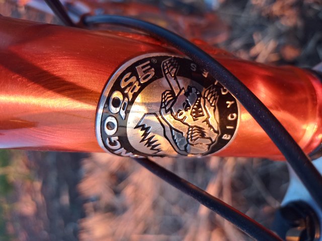 Mongoose NX 8.3 '99 #185