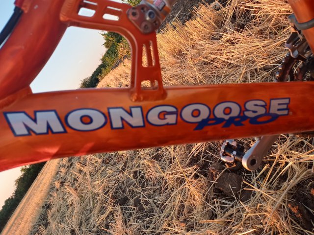 Mongoose NX 8.3 '99 #186