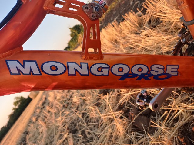Mongoose NX 8.3 '99 #187