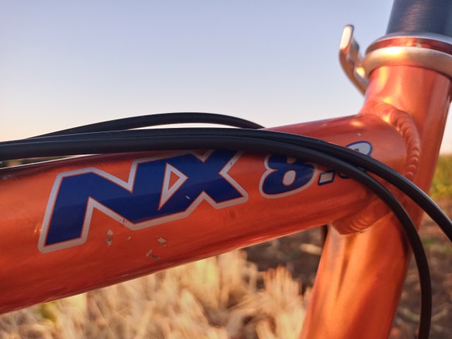 Mongoose NX 8.3 '99 #188