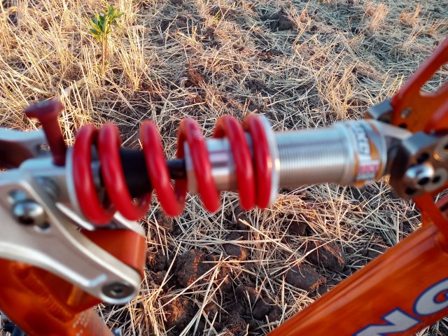 Mongoose NX 8.3 '99 #193