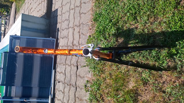 Mongoose NX 8.3 '99 #20
